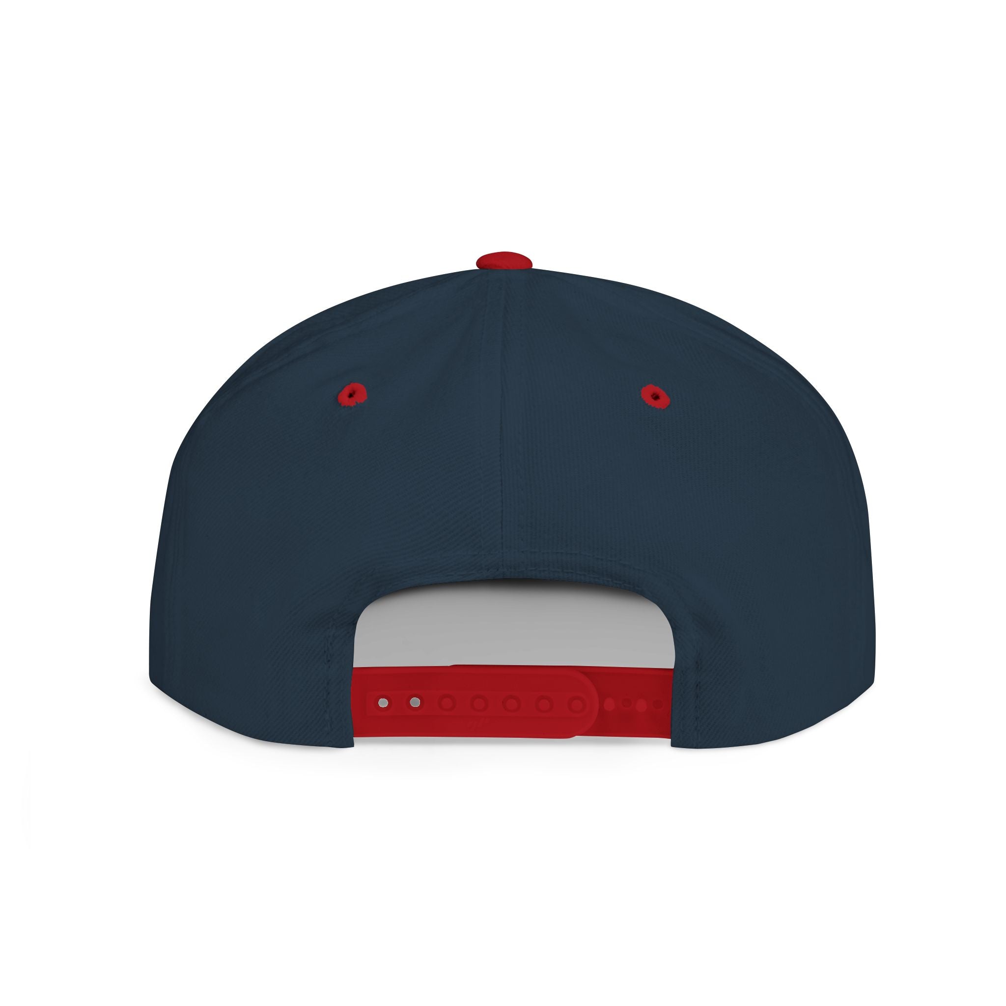 World Tour Flat Bill Snapback