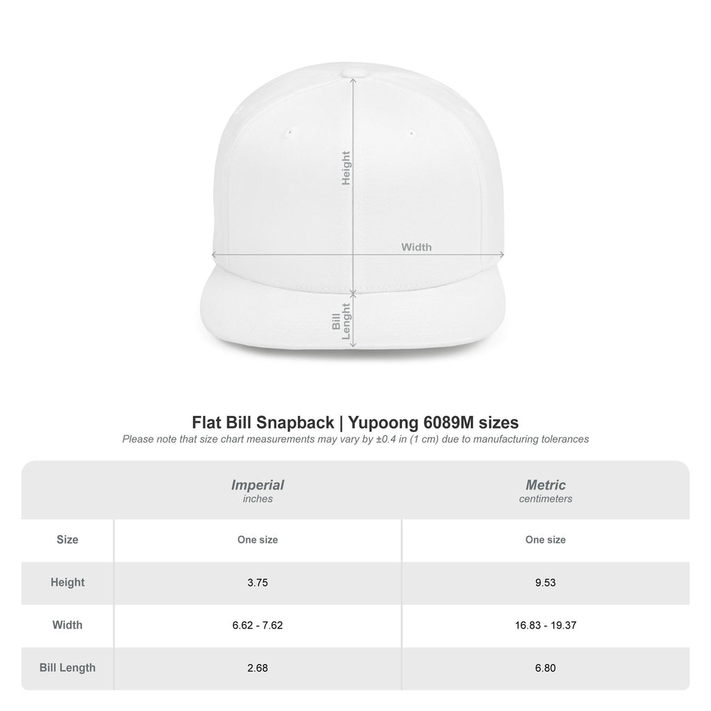 World Tour Flat Bill Snapback
